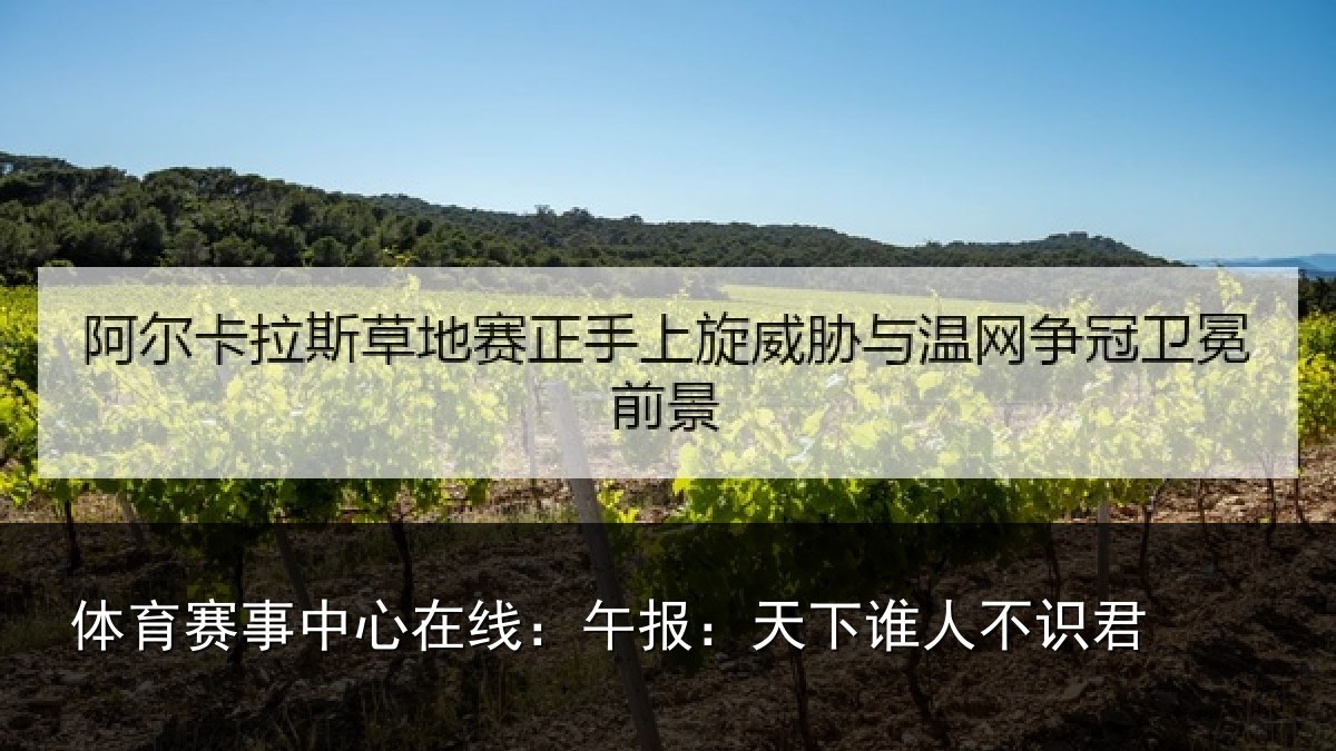 体育赛事中心在线:午报:天下谁人不识君