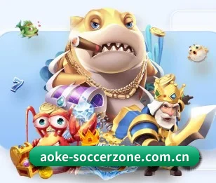 aoke-soccerzone.com.cn的故事