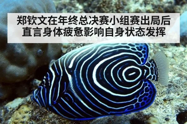 郑钦文在年终总决赛小组赛出局后直言身体疲惫影响自身状态发挥